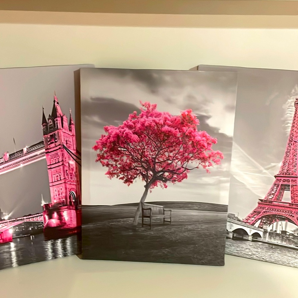 3 9x14 Paris canvas room decor